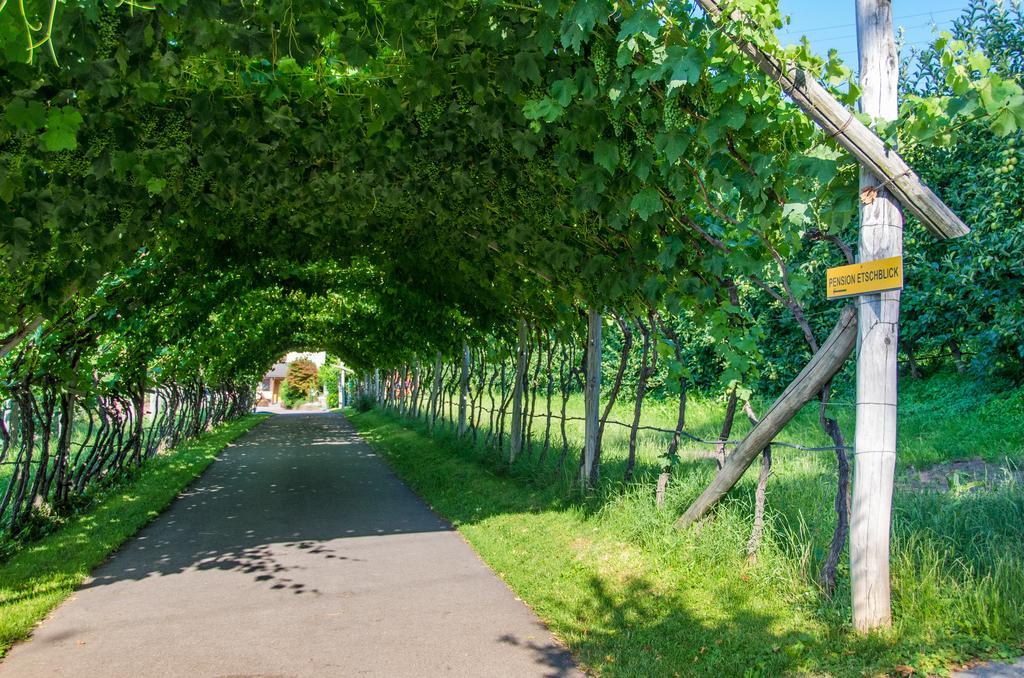Pension Etschblick B&B Frangarto Kültér fotó
